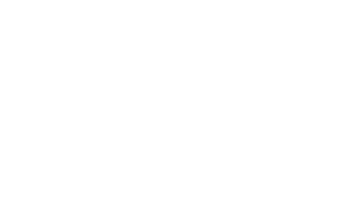 Gene Haas Foundation